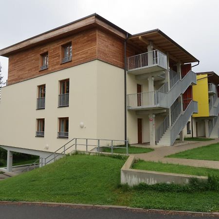 Family Apartment Lipno Lake Lipno nad Vltavou Exterior foto